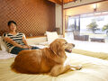 愛犬と楽しむ宿 じゃぱり館山 写真