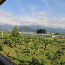 写真：楽天トラベル