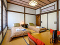 狸 tanuki nozawa 写真