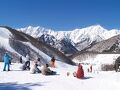 民宿 中綱館 写真