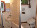 ｃｏｔｔａｇｅ　樹樹 写真