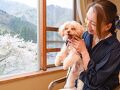 咲花温泉　阿賀のめぐみ望川閣 写真