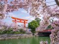 泉 東山 写真