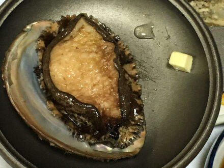 民宿別館船場荘 写真