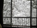 湯屋温泉　炭酸泉の宿　泉岳舘 写真