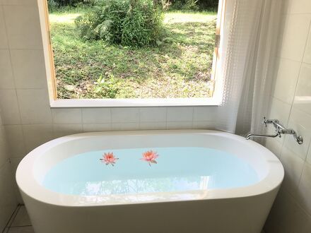 やんばる野草の宿 写真