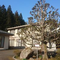 神ヶ根温泉 写真