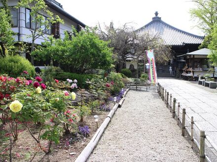 立江寺 写真