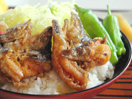 ロッヂ八ヶ嶺 写真