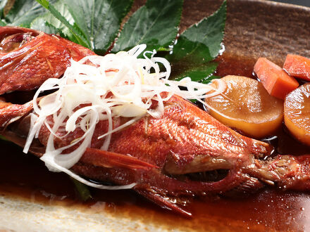 OYADO&CAFEのら 写真