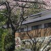 Temple Hotel 武井坊