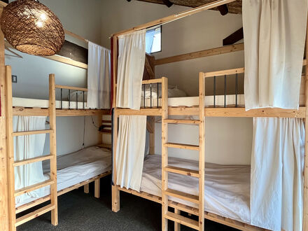 Mad Cat Hostel Osaka 写真