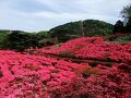 貸別荘 アップル 写真