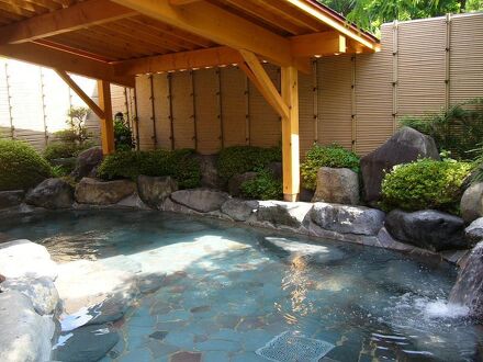 ホテル八峯苑 鹿の湯 写真