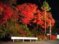 旅館　丸山の湯 写真