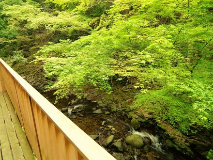 せせらぎの宿　弥仙館 写真