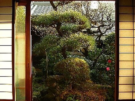 ゲストハウス奈良バックパッカーズ 写真