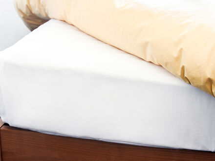 いわい温泉 ひのき屋 写真