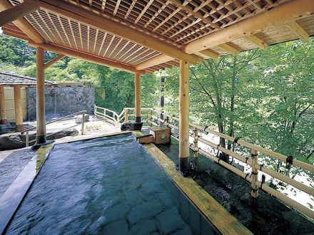 蓼科温泉 蓼科グランドホテル滝の湯 写真