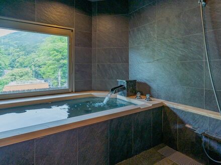 箱根湯本温泉 ホテル河鹿荘 写真
