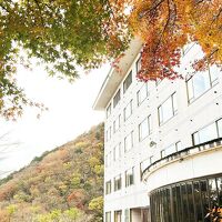 修善寺温泉ホテル 滝亭 写真