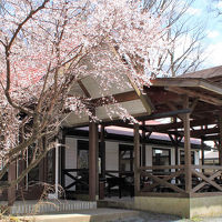 平野屋旅館 (山梨県) 写真