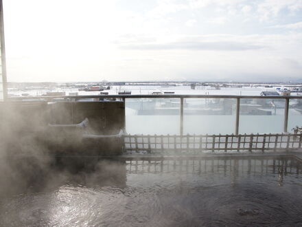 太美温泉　ふとみ銘泉　万葉の湯 写真