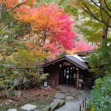 写真：楽天トラベル