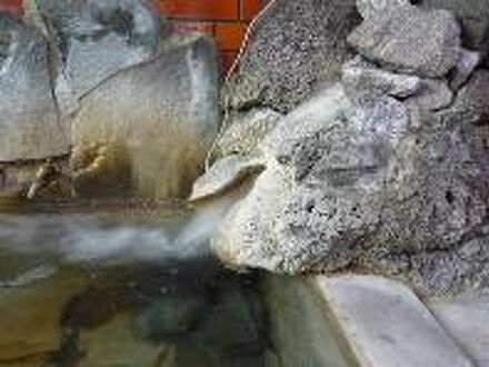 鳴子温泉 鳴子旅館 写真