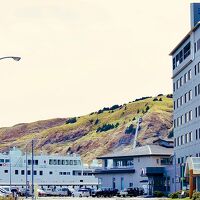 ホテル礼文 写真