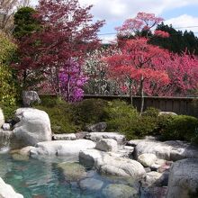 写真：楽天トラベル