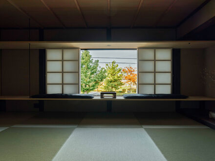 Maana Kamo 写真