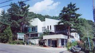 武尊高原　白樺