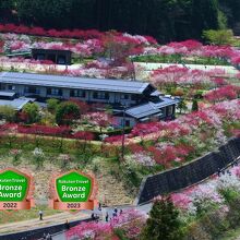 写真：楽天トラベル