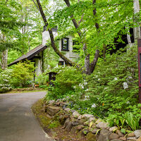 モロアの森　ランボォ 写真