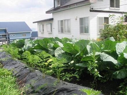 バラギ高原ロッジ 写真