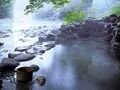湯本館 写真