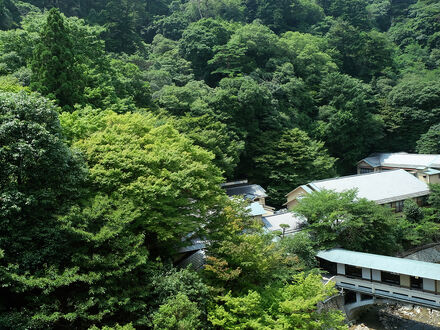 有馬温泉　月光園　鴻朧館 写真