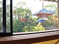 温泉山 安楽寺 薬師の里 写真