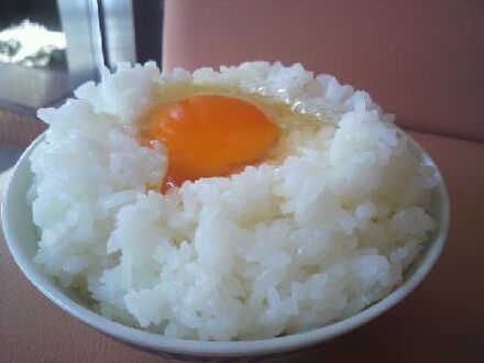 新潟ターミナルホテル 写真