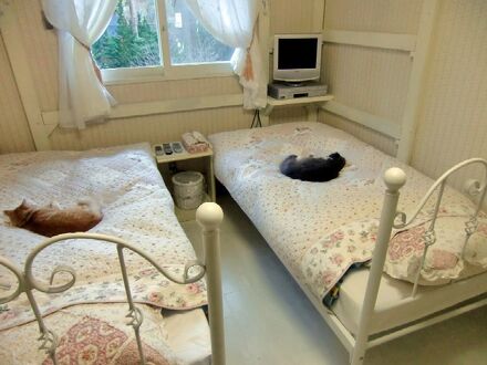 富士山 健康開運 猫と犬の宿 ペンションブルーポピー 写真