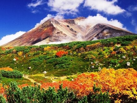 いちいの宿 写真