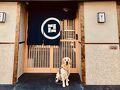 京一軒町家 染 SEN 五条上長 ドッグフレンドリー 写真