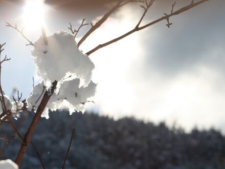ペンション白鳥 写真