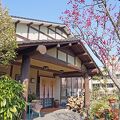 湯布院温泉 由布の宿 きふう 写真