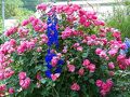 蓼科高原 ヴィラB＆Bホテル 写真