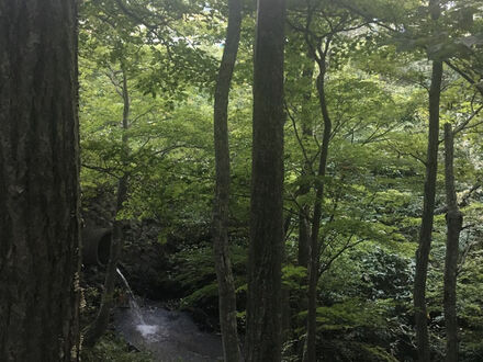 青根温泉　山景の宿　流辿 写真