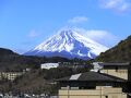 伊豆長岡温泉 ホテル茜 写真