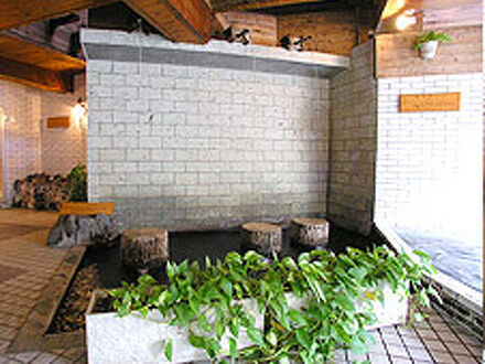 下田　蓮台寺温泉　クアハウス石橋旅館 写真