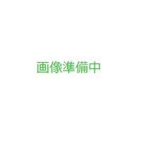 ホテル B4T キャビン 葛西臨海公園 写真